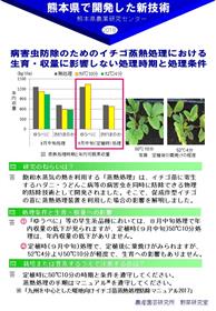 病害虫防除のためのイチゴ情熱処理における生育・収量に影響しない処理時期と処理条件