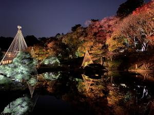 肥後細川庭園ライトアップの様子の写真