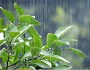 7月豪雨被害支援の画像