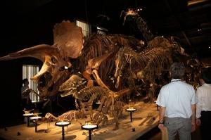 御船町恐竜博物館の画像3