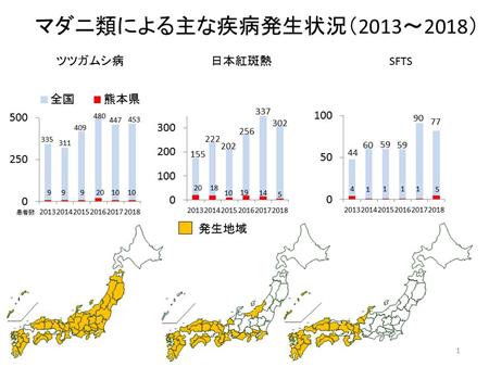 図1の画像1