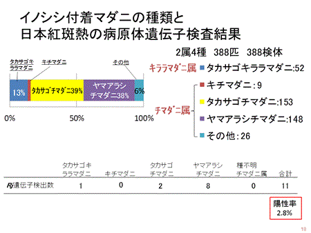 図4の画像4