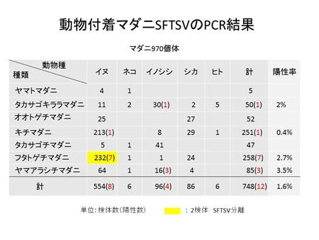 図5の画像5