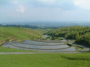 扇田の画像