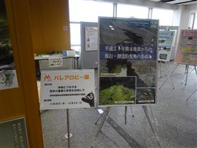 展示状況（その1）