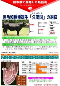 黒毛和種種雄牛「久茂国」の選抜