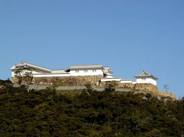 富岡城の写真1