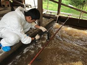 畜産排水の水質向上技術の開発の画像