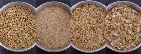 飼料用米等の家畜飼料への活用技術の開発の画像