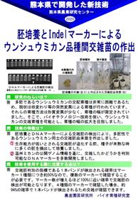 胚培養とIndelマーカーによるウンシュウミカン品種間交雑苗の作出