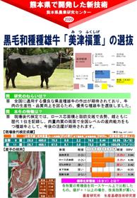 黒毛和種種雄牛「美津福重」の選抜