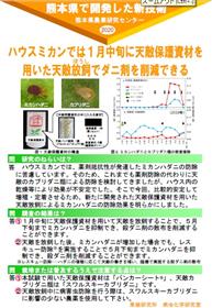 ハウスミカンでは1月中旬に天敵保護資材を用いた天敵放飼でダニ剤を削減できる