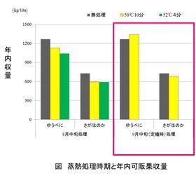 イチゴ「ゆうべに」の畝連続栽培は、2kg／10a以下の基肥窒素量で収量・品質が安定する（2）