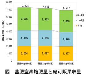 イチゴ「ゆうべに」の畝連続栽培は、2kg／10a以下の基肥窒素量で収量・品質が安定する（2）