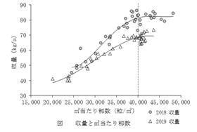 図収量と平方メートル当たり籾数