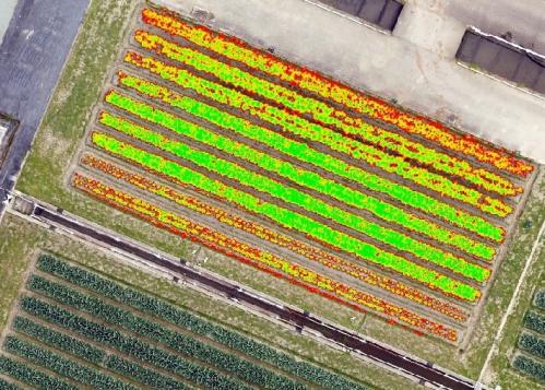 ドローンで撮影したキャベツ画像（NDVI）を利用した生育量計測技術の検討