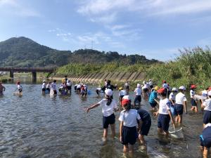 川の生物調査