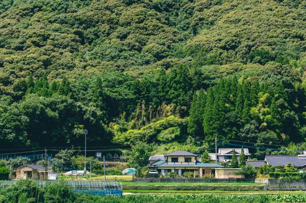 白髪山の写真