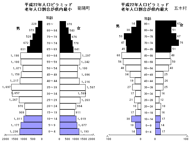 平成22年人口ピラミッド（菊陽町・五木村）