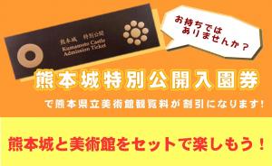 熊本城特別公開入園券