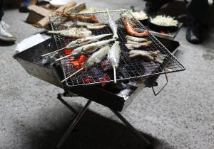 釣った魚と車えび