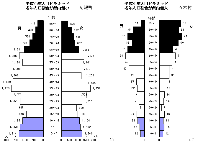 平成25年人口ピラミッド（菊陽町・五木村）