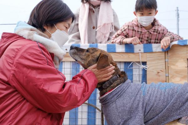 サクラマチクマモトでの譲渡会の写真