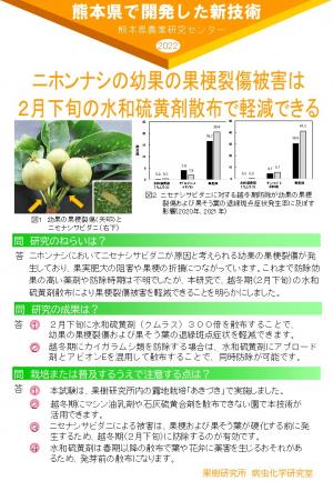 「ニホンナシの幼果の果梗裂傷被害は ２月下旬の水和硫黄剤散布で軽減できる」のポスター