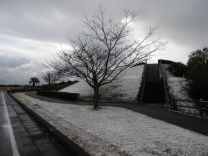 展望公園雪