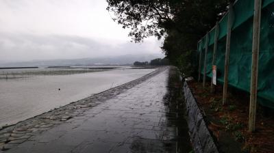 海岸沿いの風景