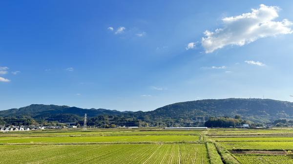 写真と一言コンテスト「益城町：残したい」