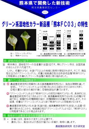 グリーン系湿地性カラー新品種の紹介ポスター