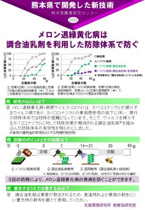 メロン退緑黄化病は 調合油乳剤を利用した防除体系で防ぐ