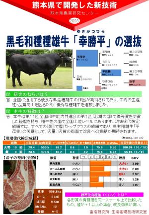 黒毛和種種雄牛「幸勝平」の選抜のポスター