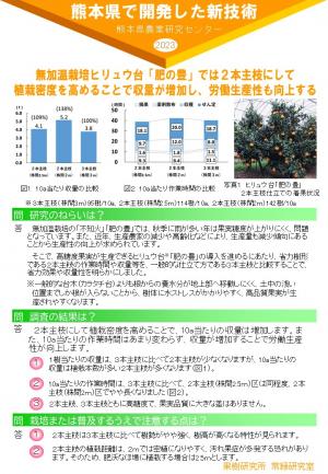 無加温栽培ヒリュウ台「肥の豊」では２本主枝にして 植栽密度を高めることで収量が増加し、労働生産性も向上する　のポスター