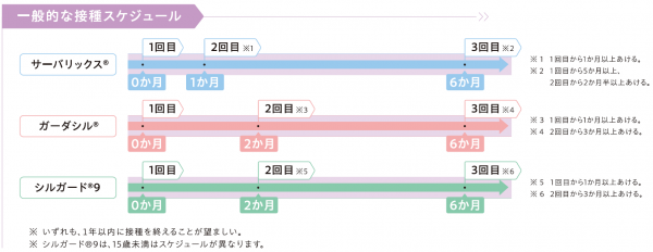 スケジュール