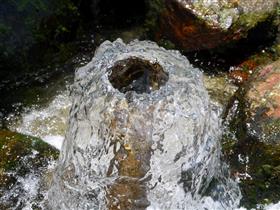 江津湖畔の自噴井