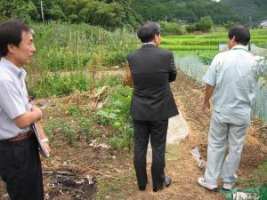 知事が家庭菜園を視察している写真