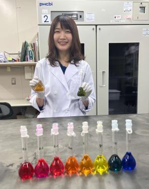 正面写真