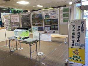 展示１