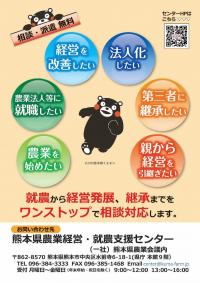 チラシ