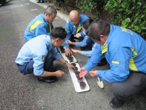 菊池警察署員５人でひまわりの種を植えている写真です。