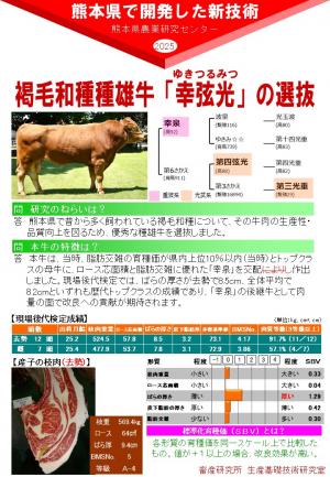 褐毛和種種雄牛「幸弦光」の選抜