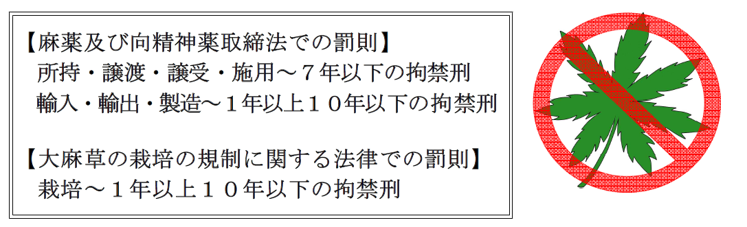 大麻