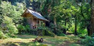 飯田山の風景