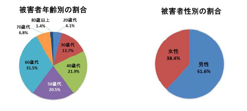年齢別グラフ　SNS・ロマンス詐欺
