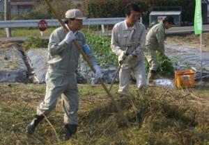 先頭に立って草を集める蒲島知事