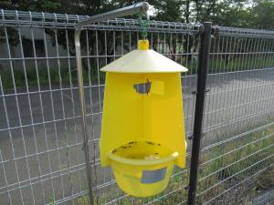 フェロモントラップ