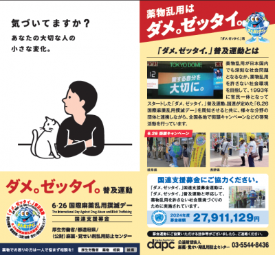 ダメゼッタイのリーフレット