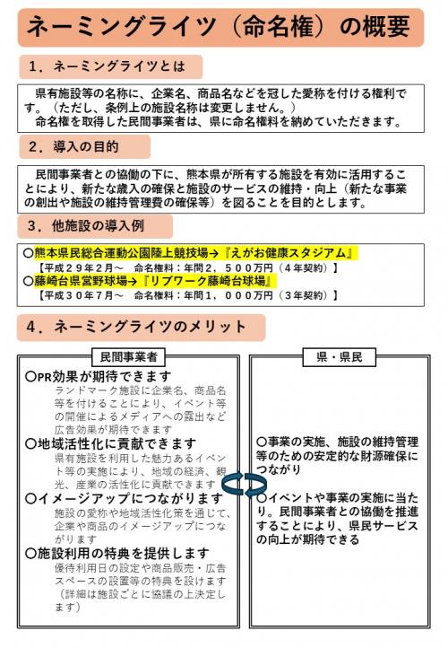 ネーミングライツ概要
